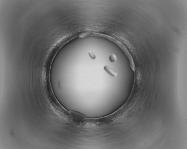 X0000111670684200907311159