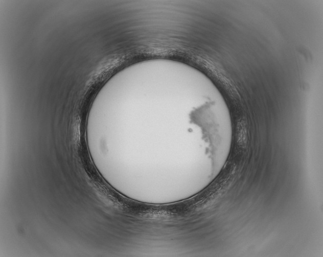 X0000111670685200907311159