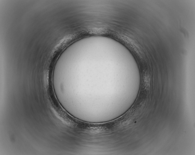 X0000111670686200907311159