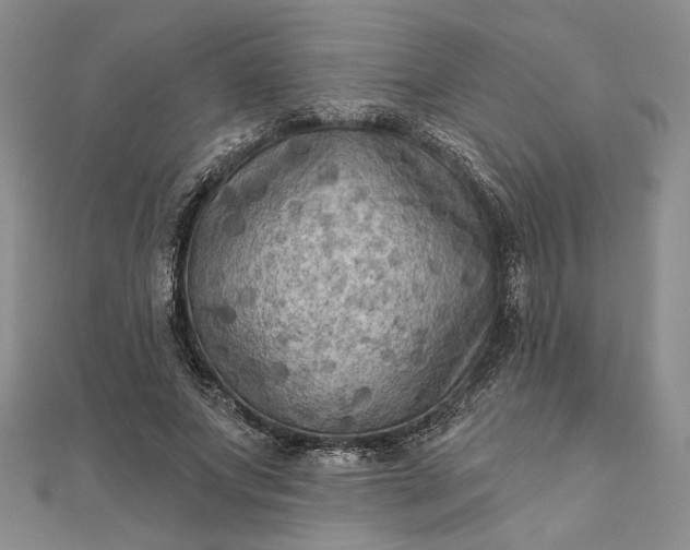 X0000111670687200907311159