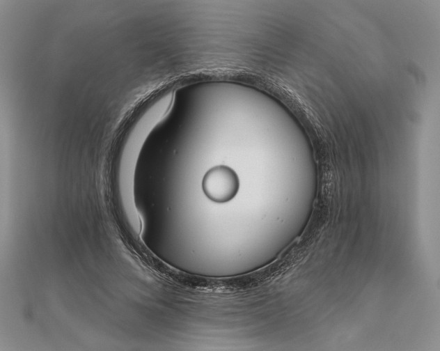 X0000111670688200907311159