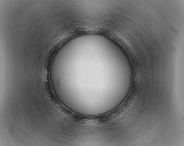 X0000111670689200907311159