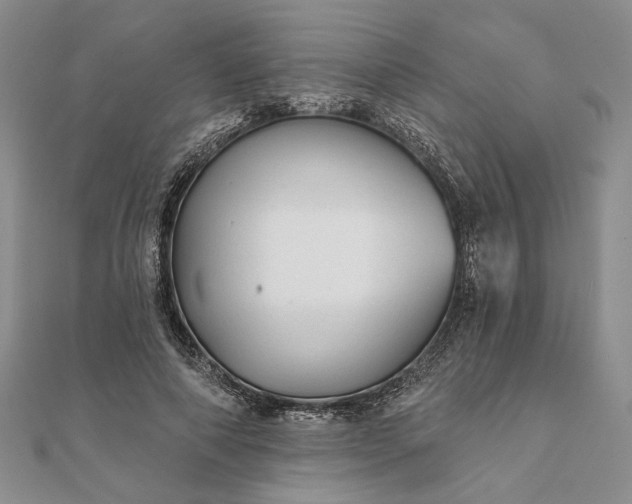 X0000111670690200907311159