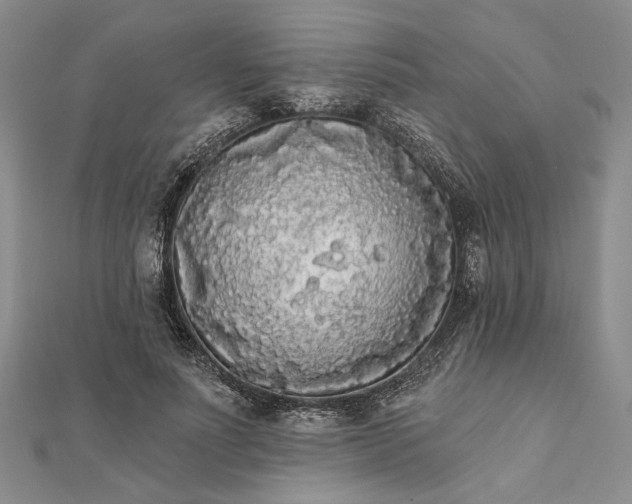 X0000111670691200907311159