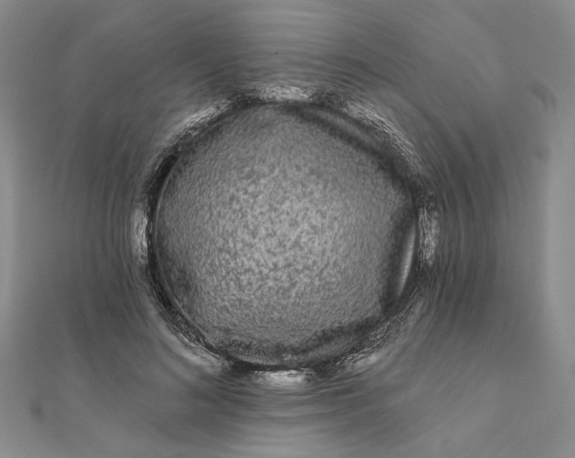 X0000111670692200907311159