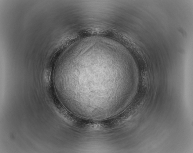 X0000111670695200907311159