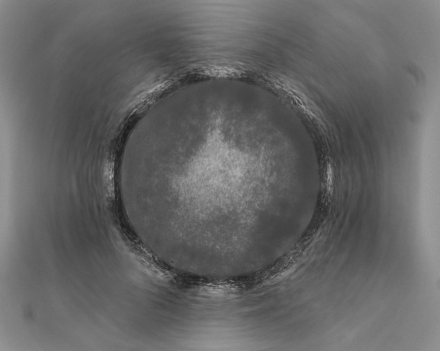 X0000111670696200907311158