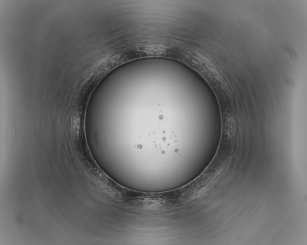 X0000111670697200907311158