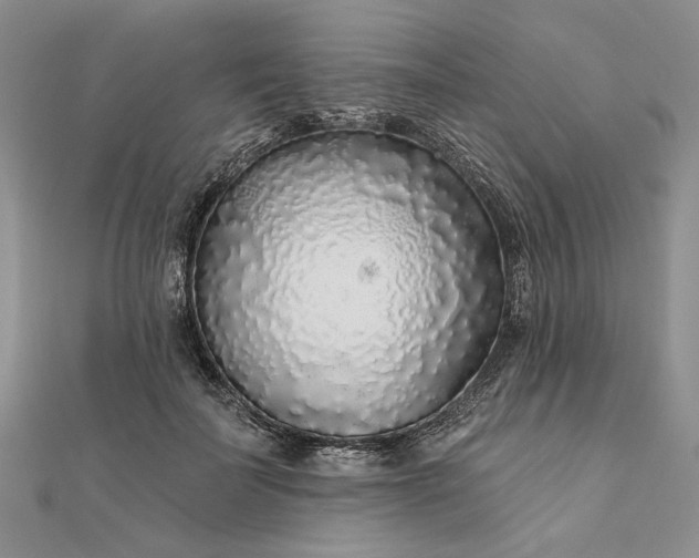 X0000111670699200907311158