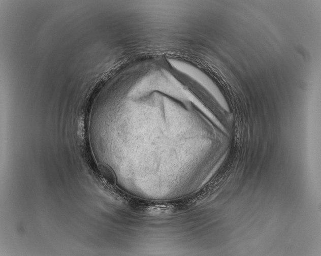 X0000111670700200907311158