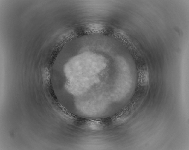 X0000111670701200907311158