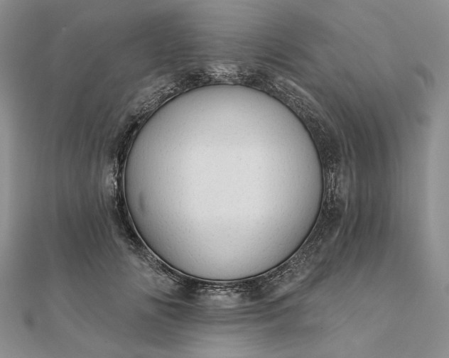 X0000111670702200907311158