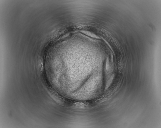 X0000111670703200907311158