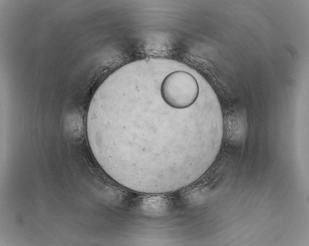 X0000111670705200907311158