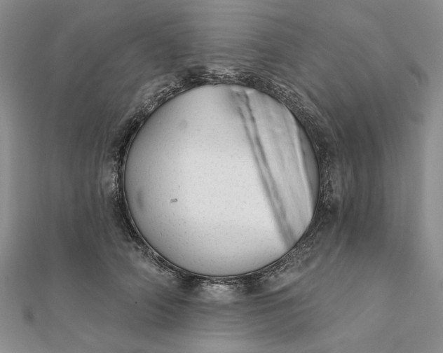 X0000111670706200907311158