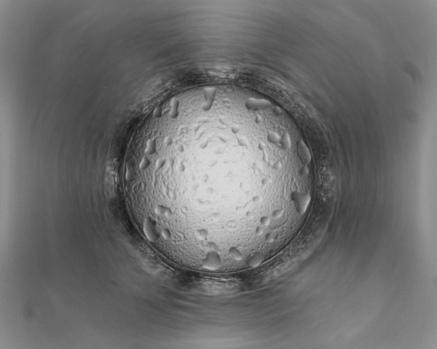 X0000111670707200907311158