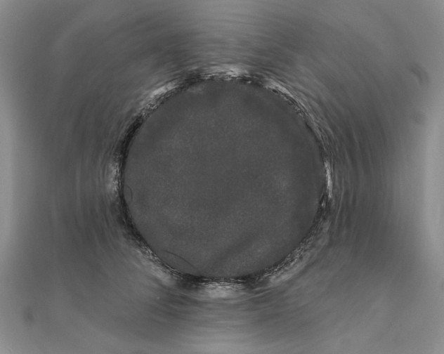 X0000111670708200907311158