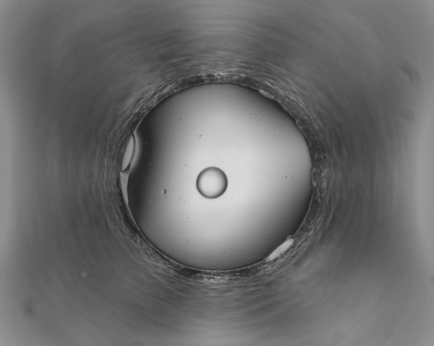 X0000111670709200907311158