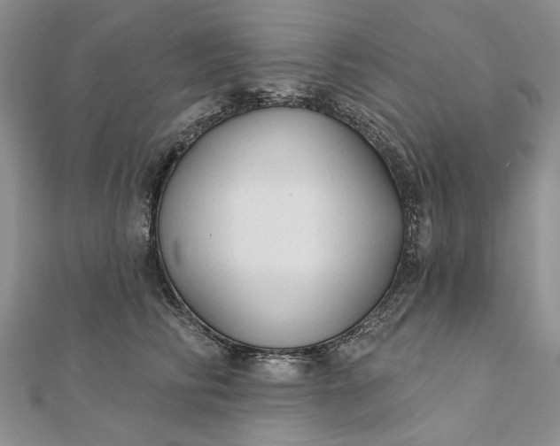 X0000111670710200907311158