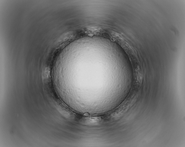 X0000111670711200907311158