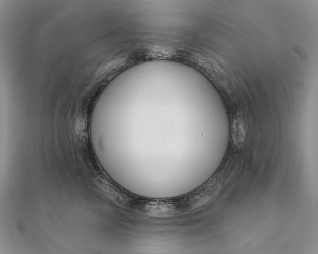 X0000111670714200907311158