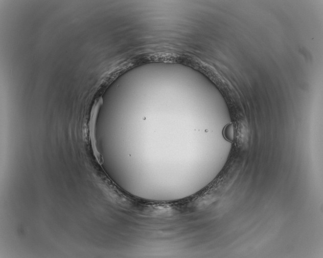 X0000111670715200907311158