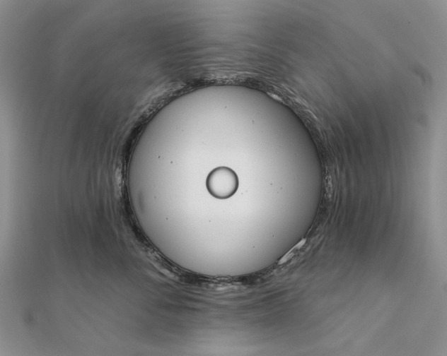 X0000111670716200907311158