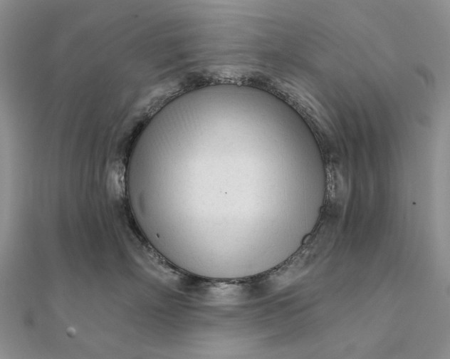 X0000111670718200907311158