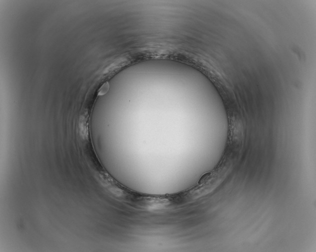 X0000111670719200907311158