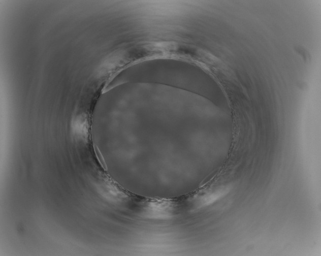 X0000111670720200907311158