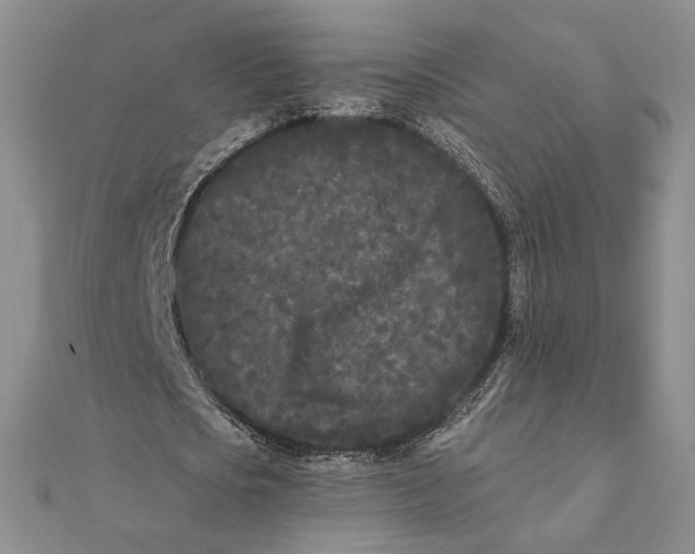 X0000111670721200907311158