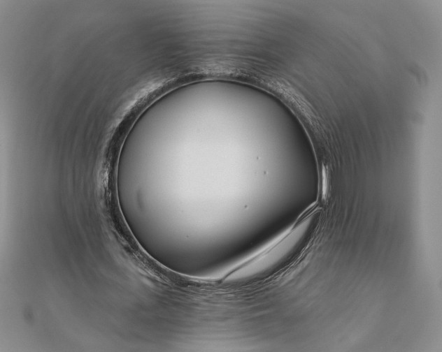 X0000111670723200907311158