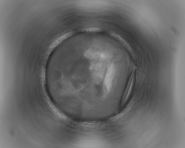 X0000111670725200907311158