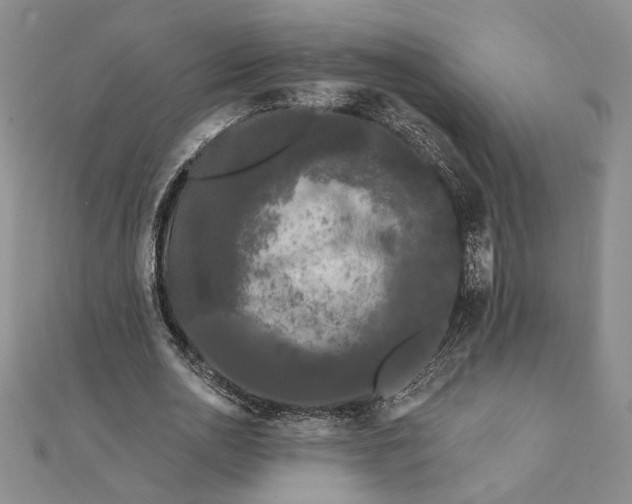 X0000111670726200907311158