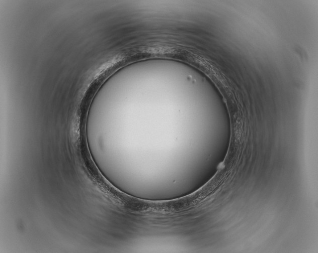 X0000111670727200907311158