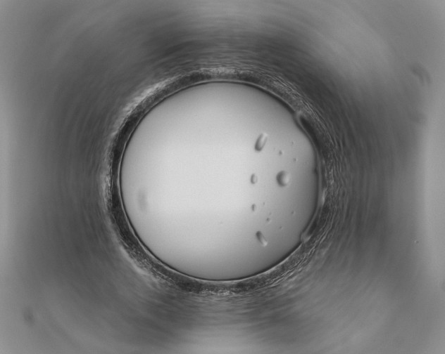 X0000111670728200907311158