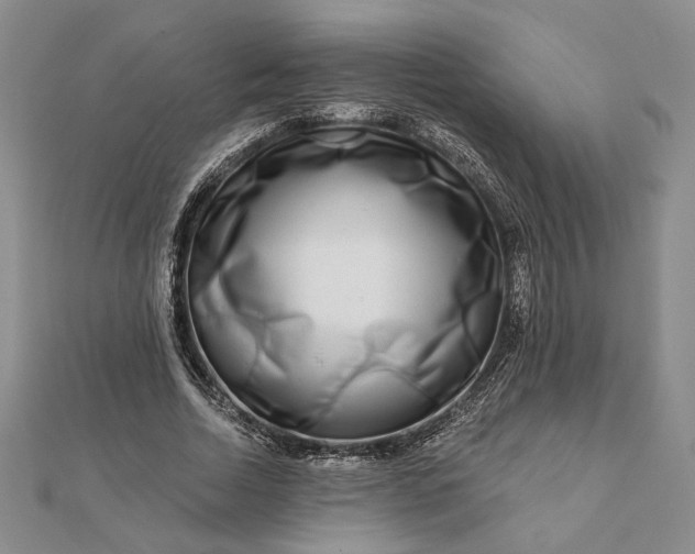 X0000111670730200907311158