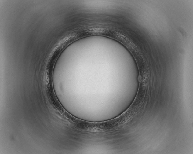 X0000111670731200907311158