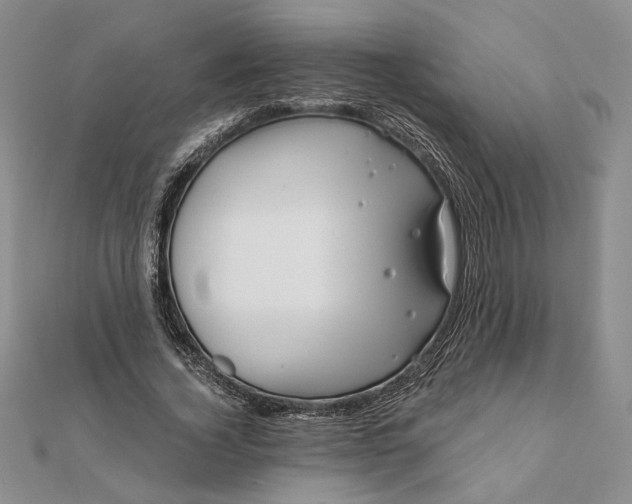 X0000111670732200907311158