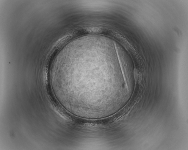 X0000111670733200907311158