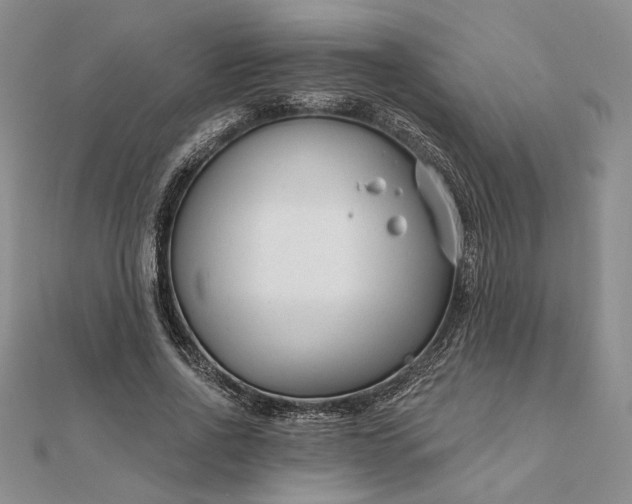 X0000111670734200907311158