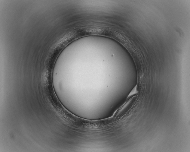 X0000111670735200907311158