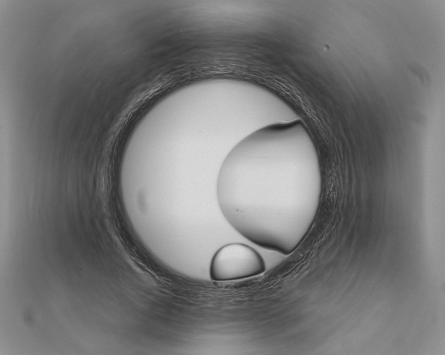 X0000111670736200907311158