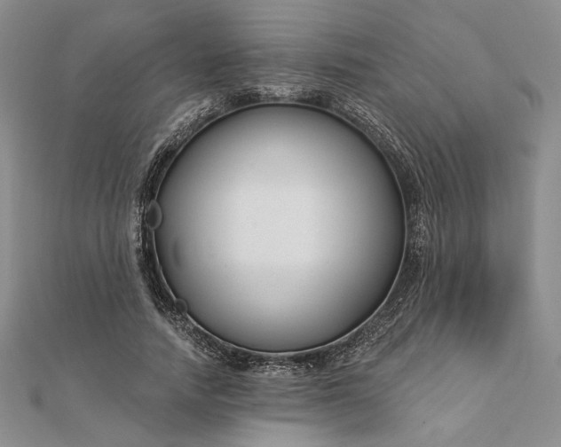 X0000111670738200907311158