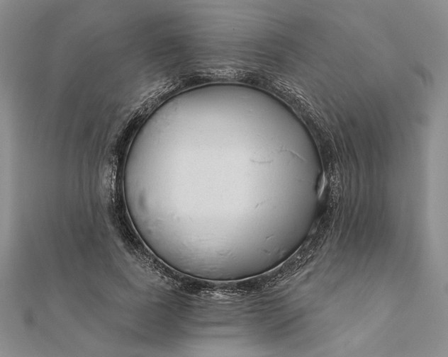 X0000111670739200907311158