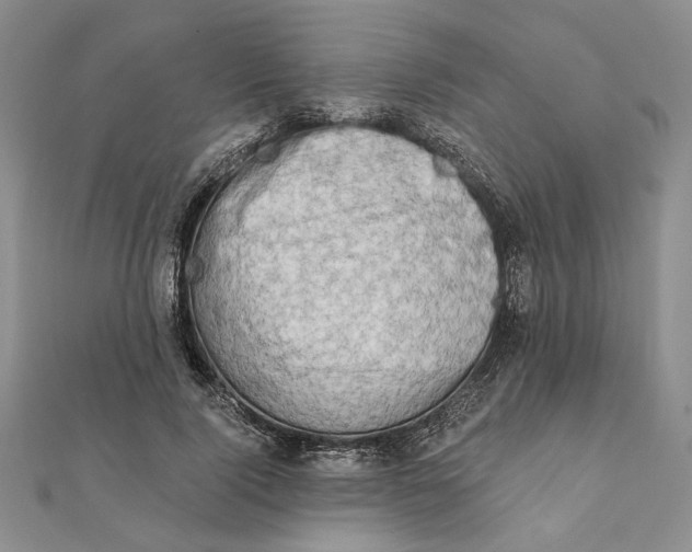 X0000111670740200907311158