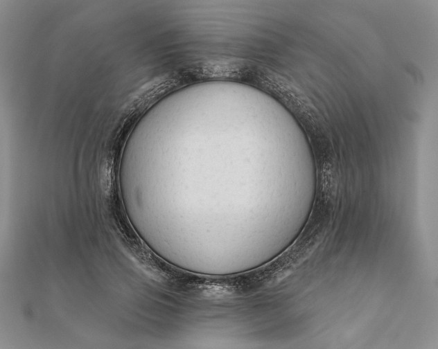 X0000111670741200907311158