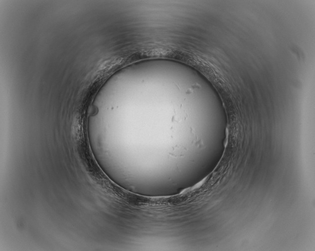 X0000111670743200907311158