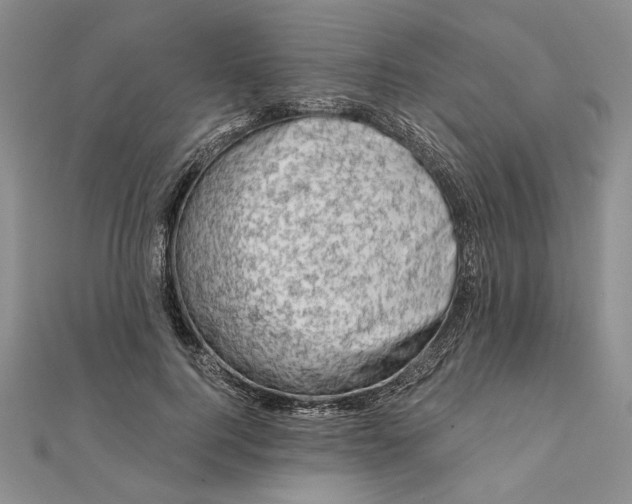 X0000111670744200907311158