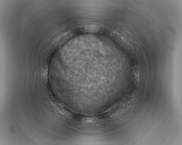 X0000111670745200907311158